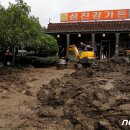 홍수식당 머니투데이