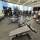 PT전문 레몬 이미지