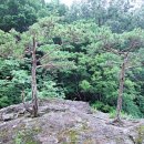 와운골가든 이미지