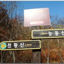 밀양상회 이미지