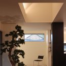 스테이 너울 이미지