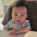 (주)명성내츄럴 | 아기랑 가기 좋은 테라로사 마곡점(원그로브), 유모차 동반 가능한 마곡 커피 맛집 솔직후기