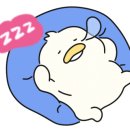 더 다이어트