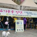 오늘 상암동 유기견 입양캠페인 행사 진행요원 및 강아지들 명단입니다. 이미지