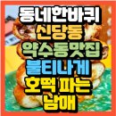 재미진동네 이미지