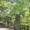 안덕계곡 앞 3 이미지