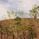 산이보건지소 이미지