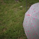 영천시공예촌캠핑체험장 이미지