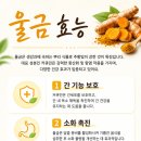 황제찹쌀꽈배기 네이버블로그