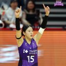 스파이더동인천