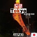 일본 여행 #2-1 (도쿄) 도쿄타워 뷰 도쿄 프린스 호텔 후기, 도쿄타워 야경, 야키니꾸 맛집 쇼타이엔 긴자