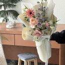 이안플로레오