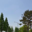 문암생태공원(바베큐장) 네이버블로그