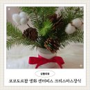 네추럴 팜 | 쿠팡체험단 코코도르팜 생화 센터피스 크리스마스장식 그린믹스
