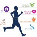 모던복싱클럽 이미지