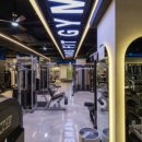 트랜스핏짐 이미지