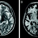 안면상회 이미지