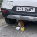 신전떡볶이팽성점
