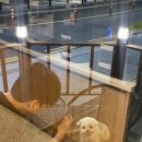 데이롱연수 이미지