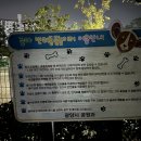 중마애견 이미지