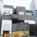 창원고양이분양 페르시안 고양이입양