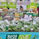 청양농협하나로마트 이미지