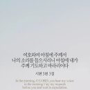 하늘나라주