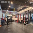 피티데이 이미지