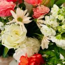 데일리풀 이미지