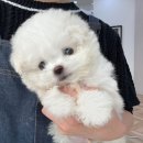 칠곡종합동물병원 이미지