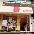 젤리시스터즈쇼룸