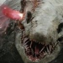 킹콩아쿠아 이미지