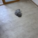 우미특수세탁 | 평택우미린아파트 기름때와분진제거 입주청소후기