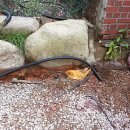 어등초교 이미지