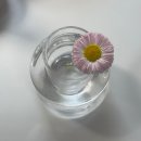 부흥식품마트 | pills pills pills