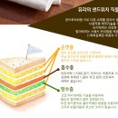 베베뮤