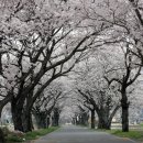 왕인박사마을 이미지