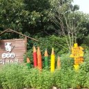 창희목장 이미지