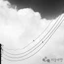 김도형 이미지