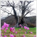 부처산약국 | {안동여행} 한국 정신문화의 수도 #안동여행 2박 3일 프롤로그 #페이지