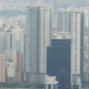 대주사 이미지