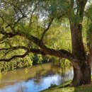 튼튼나무의원 이미지