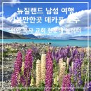 데카포 | 뉴질랜드 남섬 여행 가볼만한곳 데카포 선한 목자 교회 천문대 (Dart Sky Project) 놀이터 빙하 호수 풍경