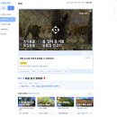티씨컴퍼니