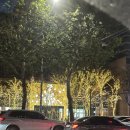 이자카야나무(선릉점) 이미지