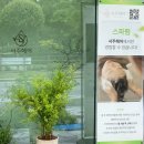 보람동_해들510동 | [세종시 커트잘하는곳] 보람동 미용실 서주헤어 레이어드컷+두피스파 찐만족 후기