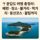 🌿 2025 문갑도 여행의 모든 것, 작은 섬에 담긴 거대한 힐링 🌊
