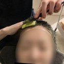 충의로 | 진주두피관리 WT메소드 탈모, 두피, 흰머리 고민 | 민감성 인텐시브 관리 받은 후기