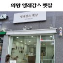 엘레강스펫샵 이미지