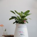 시립운정하우스디 어린이집 이미지